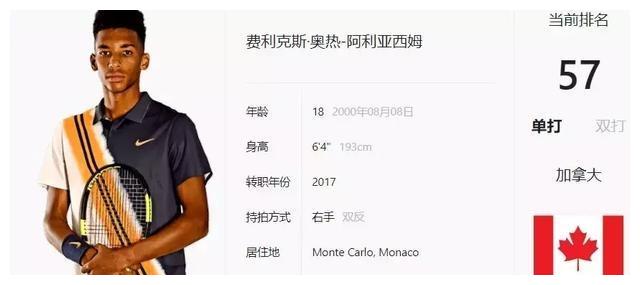 投入无疑是 投入无疑是