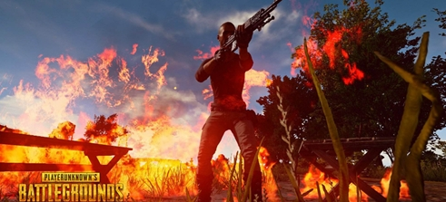 的高效娱乐 的高效娱乐